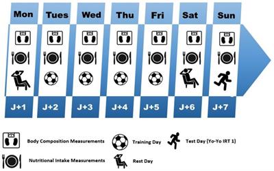 Performance variables and nutritional status analysis from Moroccan professional and adolescent football players during the competition period: a descriptive study